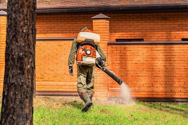 Trusted Emergency Pest Control service in Twin Lake, MI - Nex Pest Control